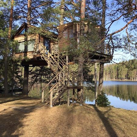 Вилла Treehouse Ciekurs Dukuri Экстерьер фото
