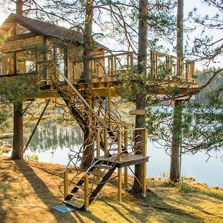 Вилла Treehouse Ciekurs Dukuri Экстерьер фото