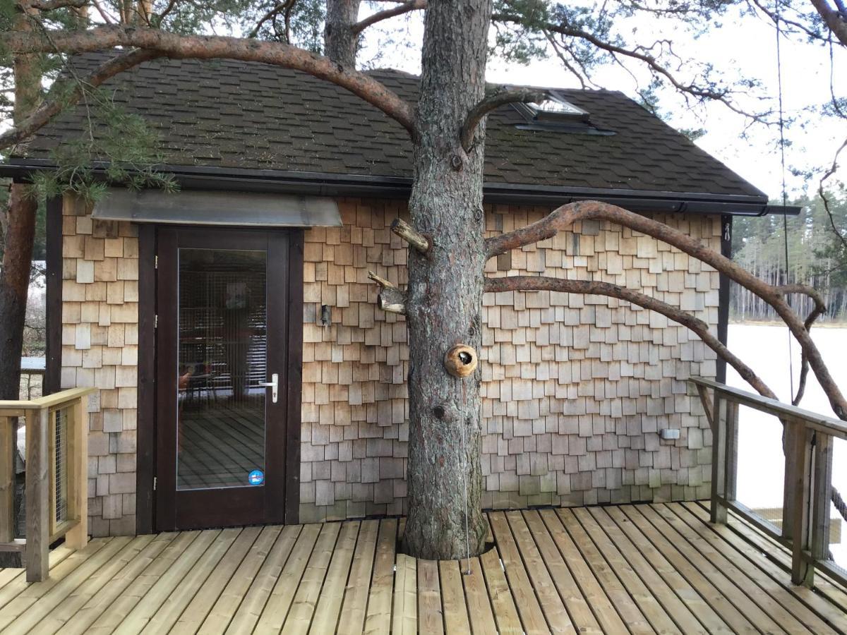 Вилла Treehouse Ciekurs Dukuri Экстерьер фото