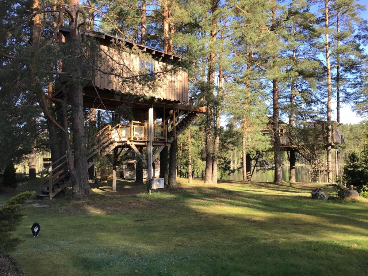 Вилла Treehouse Ciekurs Dukuri Экстерьер фото