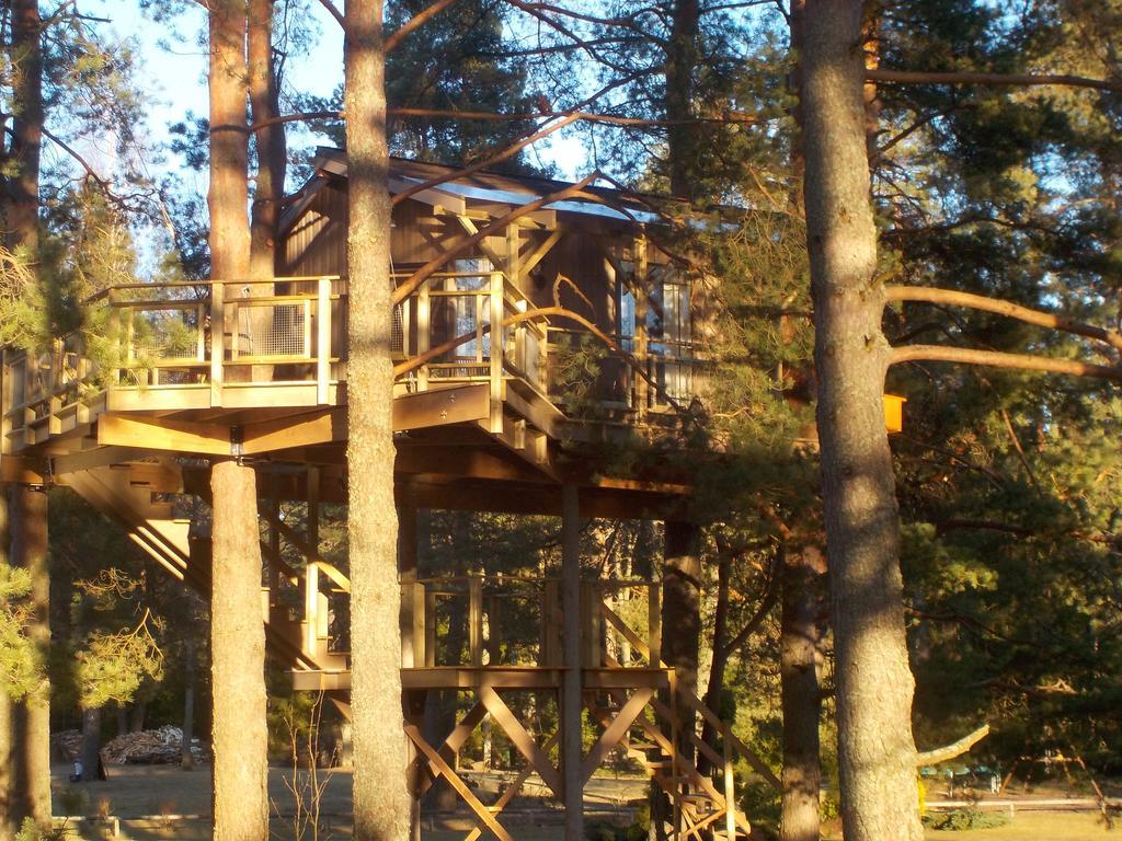 Вилла Treehouse Ciekurs Dukuri Экстерьер фото