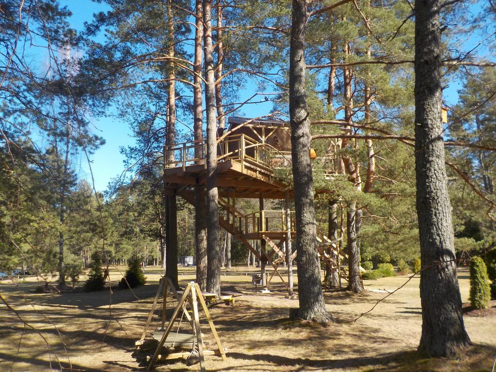 Вилла Treehouse Ciekurs Dukuri Экстерьер фото