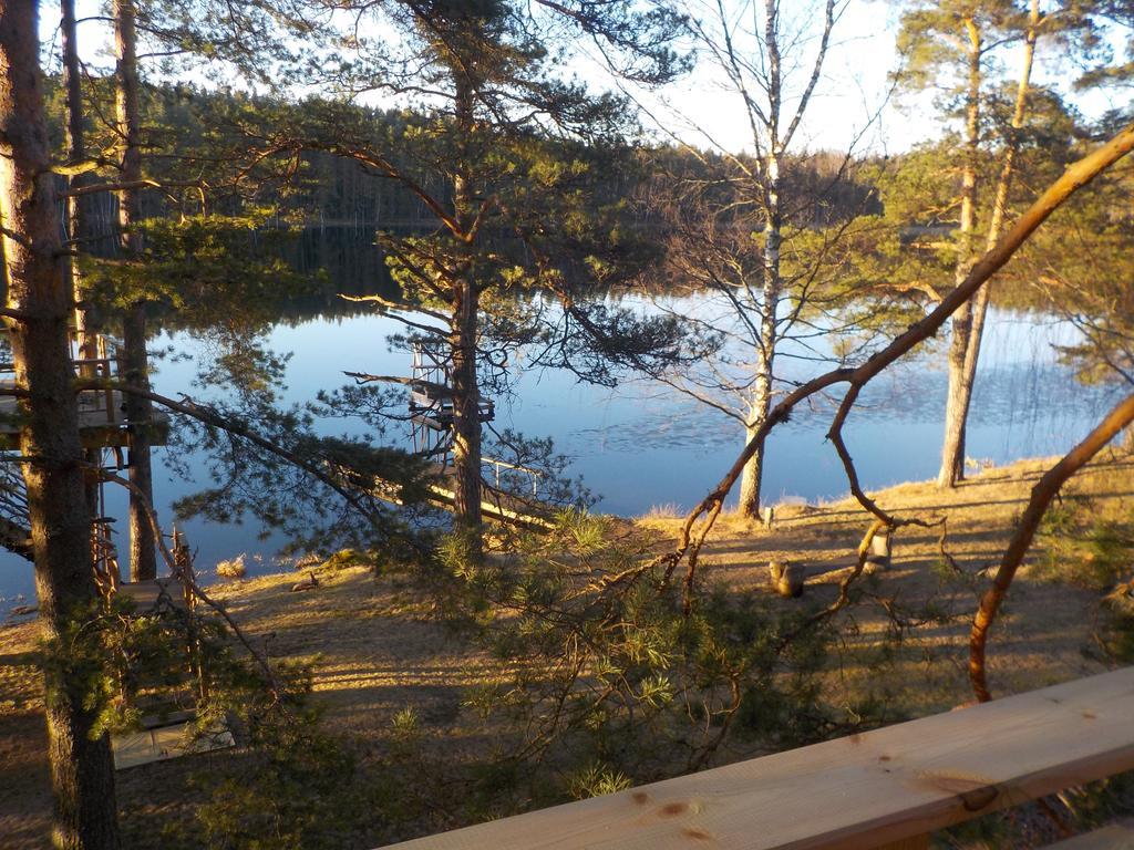 Вилла Treehouse Ciekurs Dukuri Экстерьер фото