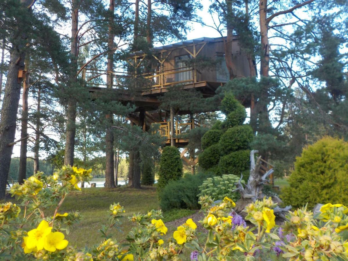 Вилла Treehouse Ciekurs Dukuri Экстерьер фото